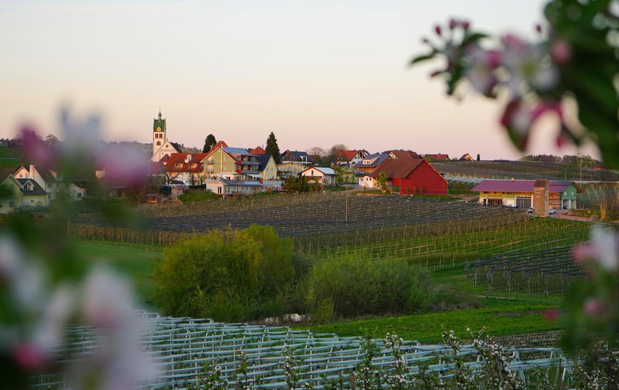 Gasthof Brennerei Zum Forst Kressbronn am Bodensee Dış mekan fotoğraf